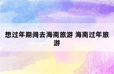 想过年期间去海南旅游 海南过年旅游
